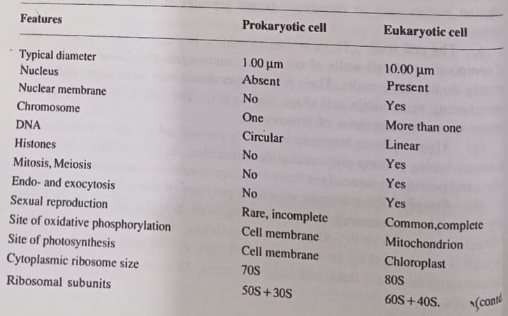 Structural differences between prokaryotic and eukaryotic cells